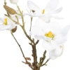 Flor magnolia blanca - Imagen 2